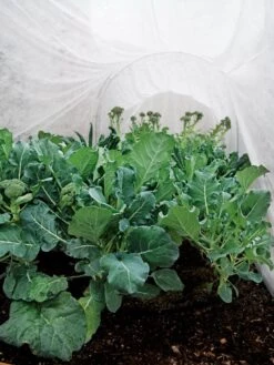 Summerweight Garden Fabric -Cheap A Fresh Yard Store 32644 7936 tif