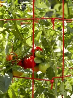 Tomato Cages, Set Of 4 11 Tomato Cages, Set Of 4 -Cheap A Fresh Yard Store 34182 592