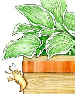 Copper Slug Tape 7 Copper Slug Tape -Cheap A Fresh Yard Store 38 994 b