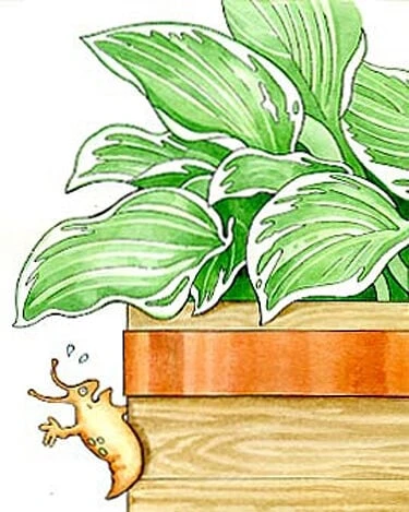 Copper Slug Tape 5 Copper Slug Tape - Image 3