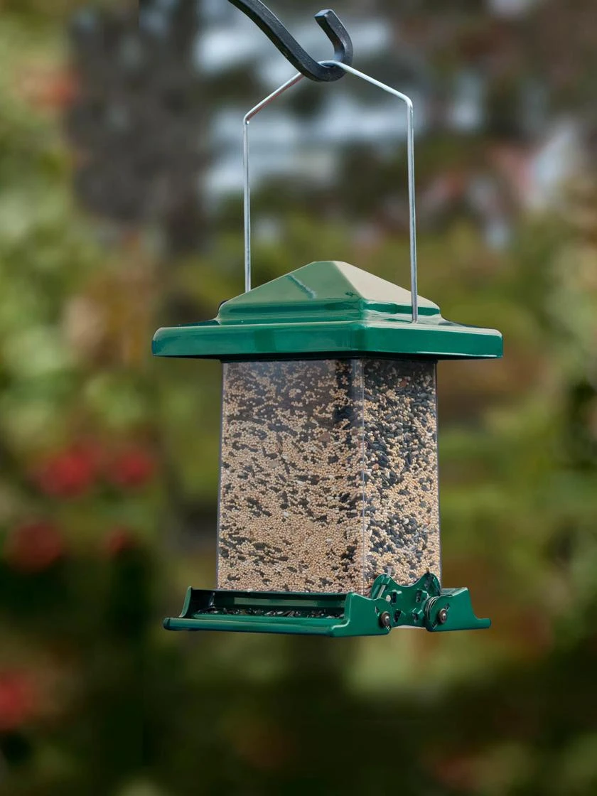 Easy View Squirrel-Proof Birdfeeder 3 Easy View Squirrel-Proof Birdfeeder