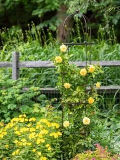 Jardin Round Obelisk, 7' -Cheap A Fresh Yard Store 39 530 1668 tif