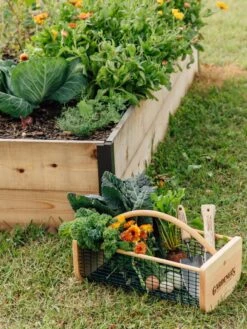 Garden Hods -Cheap A Fresh Yard Store 39 761 572 tif