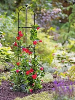 Essex Round Trellises 13 Essex Round Trellises -Cheap A Fresh Yard Store 39544 2267 tif