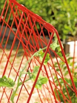 Deluxe Cucumber Trellis -Cheap A Fresh Yard Store 39806 542 tif