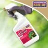 Bonide® Japanese Beetle Killer -Cheap A Fresh Yard Store 3 4 crop 8586927 01V 3 4