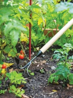 Gardener's Lifetime Long-Handled Double Tool 9 Gardener's Lifetime Long-Handled Double Tool -Cheap A Fresh Yard Store 3 4 crop 8592107 2460 tif