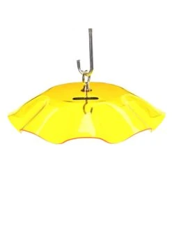 Birds Choice Weather Guard Feeder Cover -Cheap A Fresh Yard Store 3 4 crop 8608735 25V