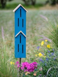 Butterfly Townhouse Shelter -Cheap A Fresh Yard Store 3 4 crop 8608869 4326 tif