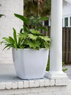 Viva Square Self-Watering Rolling Planter, 20" Diameter, Set Of 2 -Cheap A Fresh Yard Store 3 4 crop 8612930 0033 tif