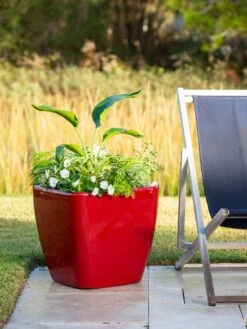 Viva Square Self-Watering Rolling Planter, 20" Diameter, Set Of 2 -Cheap A Fresh Yard Store 3 4 crop 8612930 0035 tif