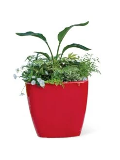 Viva Square Self-Watering Rolling Planter, 20" Diameter, Set Of 2 -Cheap A Fresh Yard Store 3 4 crop 8612930 0037 tif