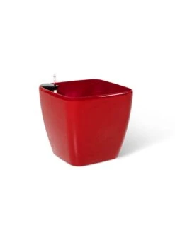 Viva Square Self-Watering Rolling Planter, 20" Diameter, Set Of 2 -Cheap A Fresh Yard Store 3 4 crop 8612930 0105