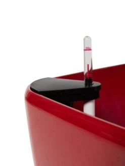 Viva Square Self-Watering Rolling Planter, 20" Diameter, Set Of 2 -Cheap A Fresh Yard Store 3 4 crop 8612930 0107