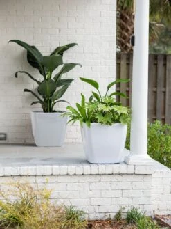 Viva Square Self-Watering Rolling Planter, 20" Diameter, Set Of 2 -Cheap A Fresh Yard Store 3 4 crop 8612930 10031