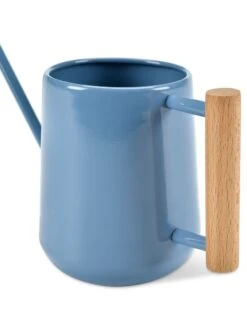 Pinpoint Indoor Watering Can -Cheap A Fresh Yard Store 3 4 crop 8612963 04V tif