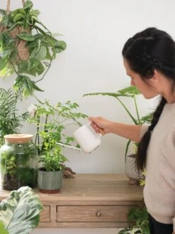 Pinpoint Indoor Watering Can -Cheap A Fresh Yard Store 3 4 crop 8612963 3774