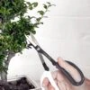 Japanese Pruning Scisssors 1 Japanese Pruning Scisssors -Cheap A Fresh Yard Store 3 4 crop 8612968 02V japanese pruning scisssors