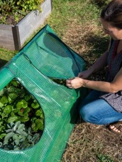 Multi Cloche -Cheap A Fresh Yard Store 3 4 crop 8613213 0245