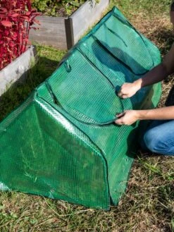 Multi Cloche -Cheap A Fresh Yard Store 3 4 crop 8613213 0250