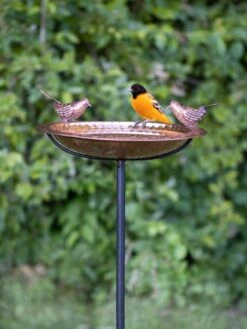 Pure Copper Bird Bath With Two Copper Birds And Multipronged Garden Pole -Cheap A Fresh Yard Store 3 4 crop 8613378 02v