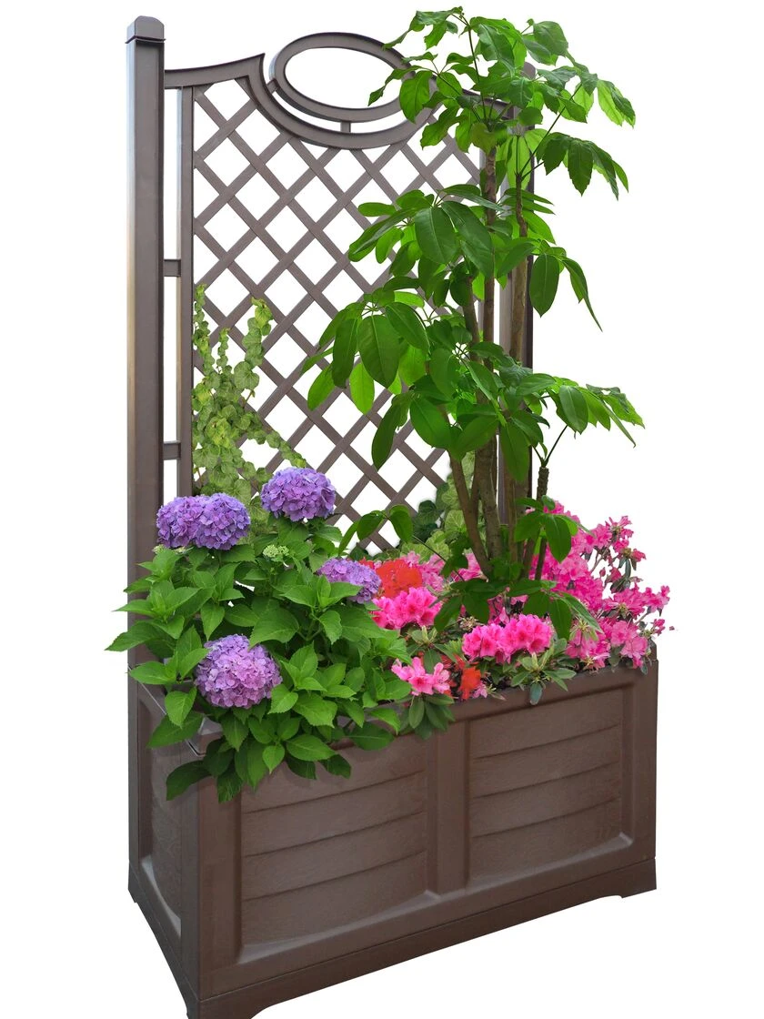 Separate Flower Box With Trellis 11 Separate Flower Box With Trellis - Image 9