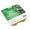 Peanut Apple Suet, 11.75 OZ, 12 Pack 1 Peanut Apple Suet, 11.75 OZ, 12 Pack -Cheap A Fresh Yard Store 3 4 crop 8613690 01V peanut apple suet 11 oz 12 pack