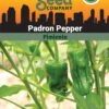 Pepper, Padron Organic Seeds -Cheap A Fresh Yard Store 3 4 crop 87466 8613547 Pepper Padron SDSC