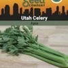 Celery, Utah Organic Seeds -Cheap A Fresh Yard Store 3 4 crop 88854 8613558 Celery Utah SDSC