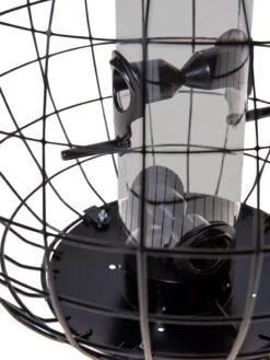 Mixed Seed Globe Cage Feeder 8 Mixed Seed Globe Cage Feeder -Cheap A Fresh Yard Store 8586659 6400