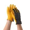 Women's Gold Leaf Dry Touch™ Gloves -Cheap A Fresh Yard Store 8586891 007 tif