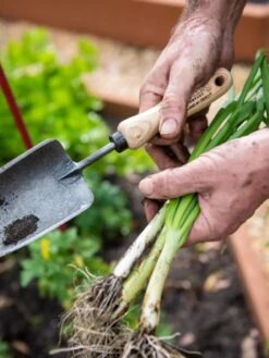 Gardener's Lifetime Trowel -Cheap A Fresh Yard Store 8586972 3286 tif