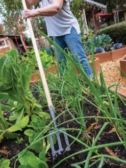 Gardener's Lifetime Spork -Cheap A Fresh Yard Store 8586973 2385 tif