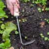 Gardener's Lifetime Cape Cod Weeder, Right-Handed 2 Gardener's Lifetime Cape Cod Weeder, Right-Handed -Cheap A Fresh Yard Store 8586974 2361 tif