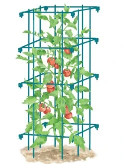 Tomato Cage, Single -Cheap A Fresh Yard Store 8587039 TomatoCage BLUE tif