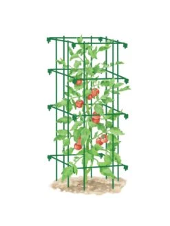 Tomato Cage, Single -Cheap A Fresh Yard Store 8587039 TomatoCage GRN tif