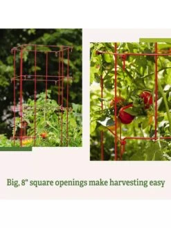 Tomato Cages, Set Of 4 15 Tomato Cages, Set Of 4 -Cheap A Fresh Yard Store 8587040 2