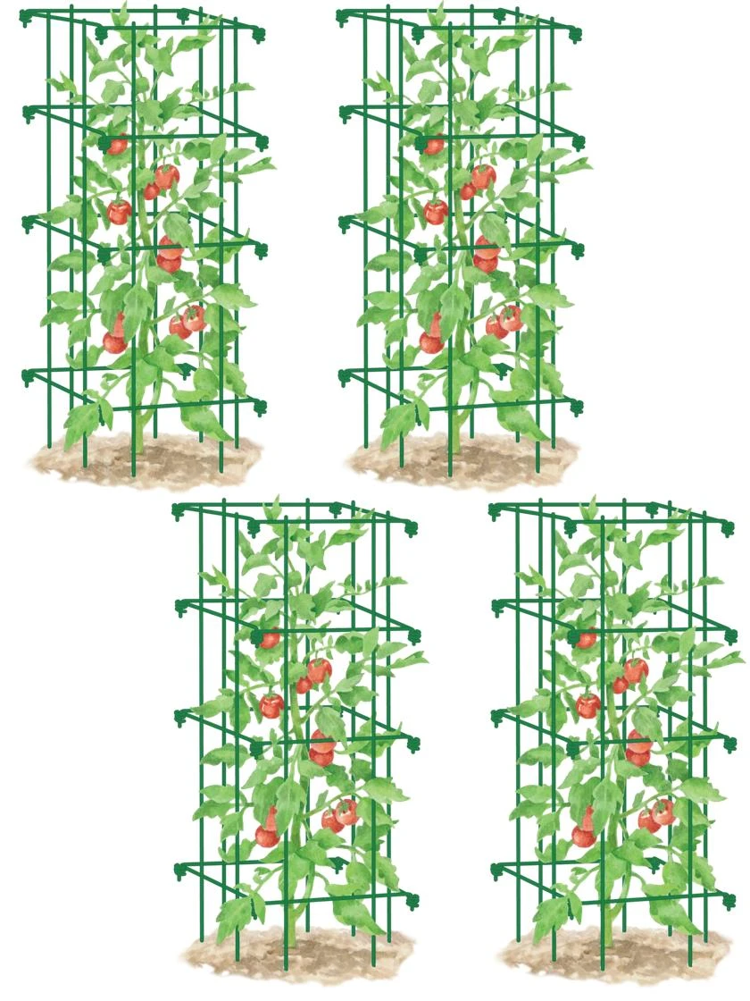 Tomato Cages, Set Of 4 7 Tomato Cages, Set Of 4 - Image 5
