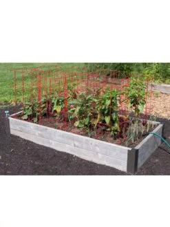 Pepper And Eggplant Cages, Set Of 3 -Cheap A Fresh Yard Store 8587048 6008 3 4