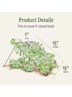 Large Cucumber Trellis -Cheap A Fresh Yard Store 8587082 dimensions