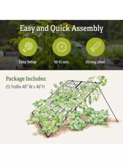 Large Cucumber Trellis -Cheap A Fresh Yard Store 8587082 product details