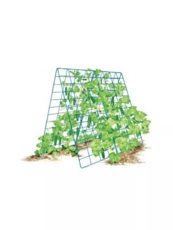 Deluxe Cucumber Trellis -Cheap A Fresh Yard Store 8587083 001 BLUE Cukes two sided deluxe cucumber trellis support storm blue 3 4