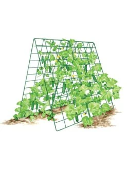 Deluxe Cucumber Trellis -Cheap A Fresh Yard Store 8587083 001 GRN tif