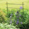 Jardin Ladder Trellis 1 Jardin Ladder Trellis -Cheap A Fresh Yard Store 8587107 1651 tif