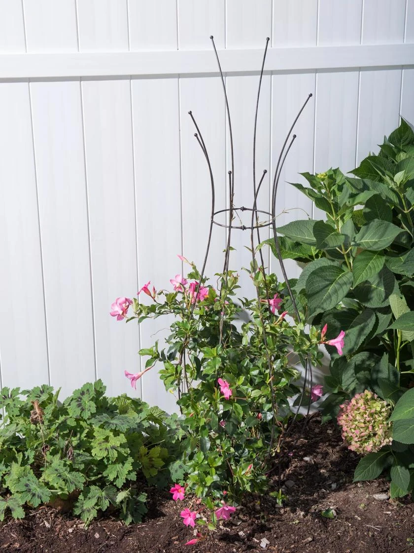 Jardin Pot Trellis 4 Jardin Pot Trellis - Image 2