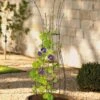 Jardin Pot Trellis -Cheap A Fresh Yard Store 8587120 224 tif
