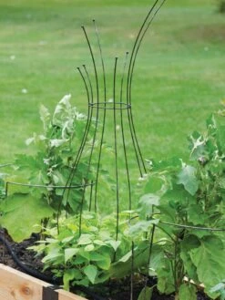 Jardin Pot Trellis 10 Jardin Pot Trellis -Cheap A Fresh Yard Store 8587120 7037 tif