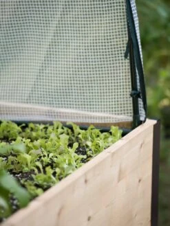 Protection Frame & Covers, 2' X 8' -Cheap A Fresh Yard Store 8587631 265 tif