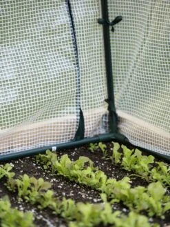 Protection Frame & Covers, 2' X 4' 12 Protection Frame & Covers, 2' X 4' -Cheap A Fresh Yard Store 8587631 271 tif 1