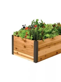 Deep Root Raised Beds, 14" Deep 2' Wide -Cheap A Fresh Yard Store 8587798 001E 1